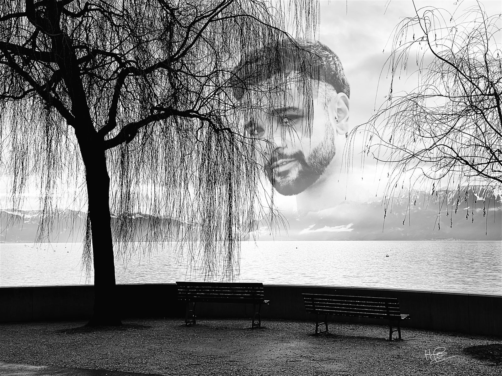 Double exposition arbre lac